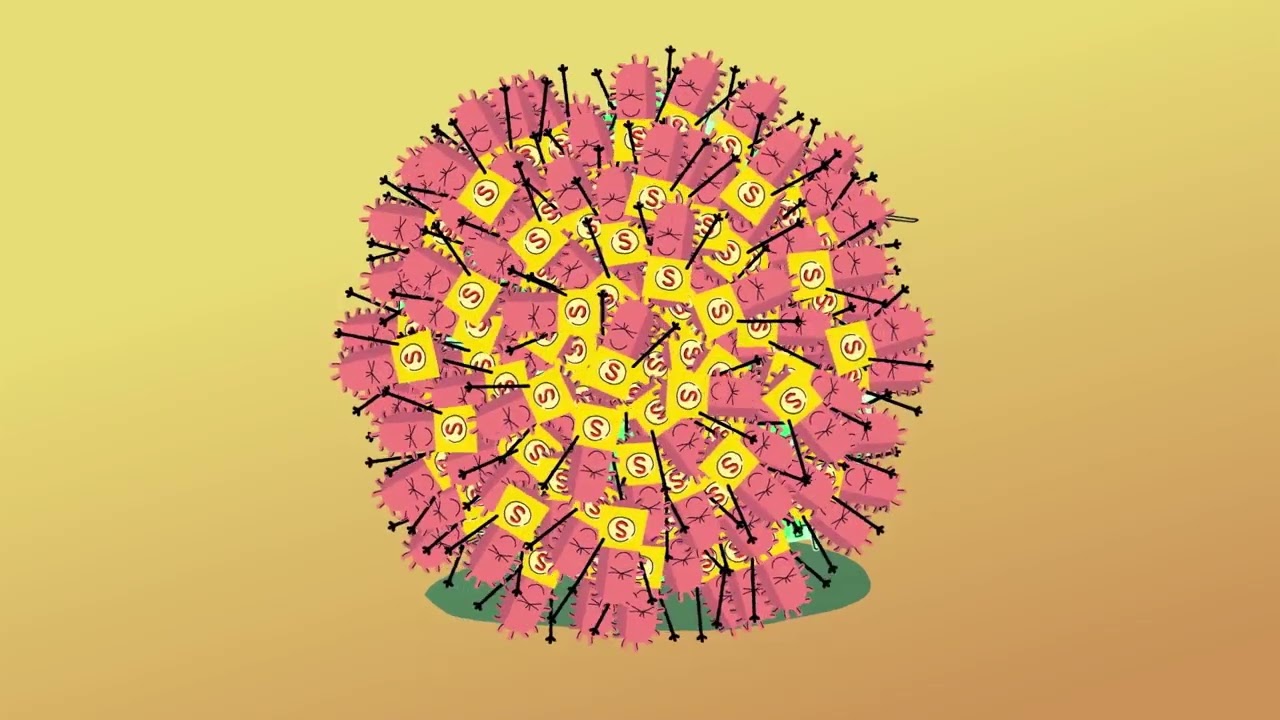 Fighting Antimicrobial Resistance: A Personal Journey