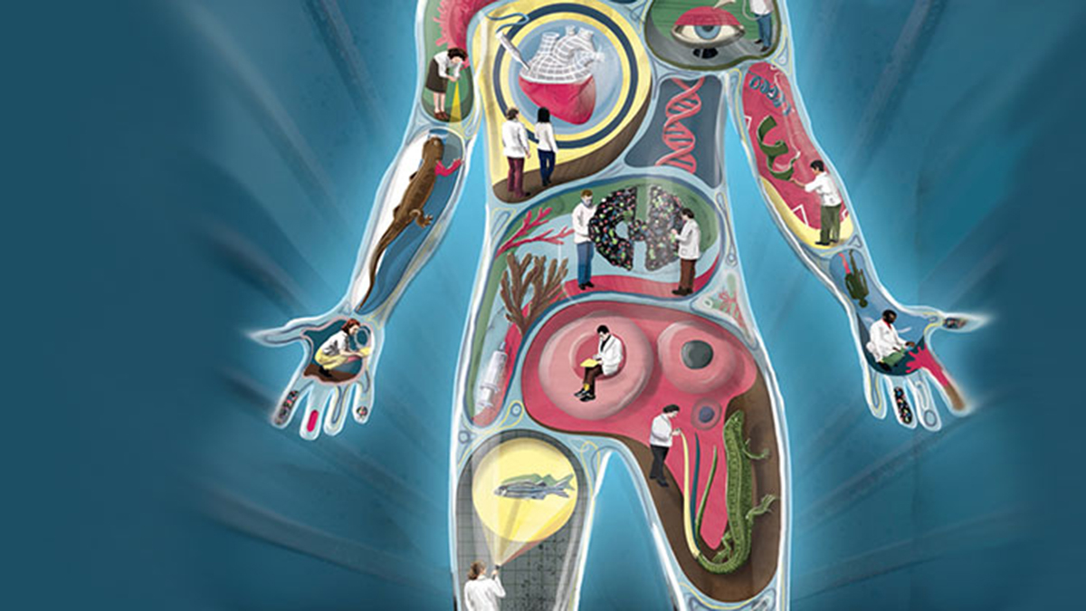 Restoring Hope: The Human Side of Regenerative Medicine